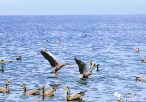 不羡鸳鸯不羡仙是哪首歌曲里的,青山绿水彩云间不羡鸳鸯不羡仙