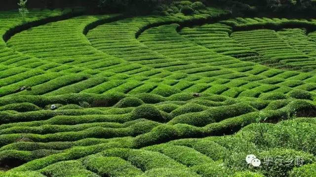 琛屾憚姹変腑,琛屾憚闄曡タ