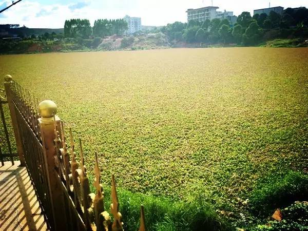 鍗楀畞鎮︽箹鍥介檯,鍗楀畞鎮︽箹鍥介檯妤肩洏鏂伴椈