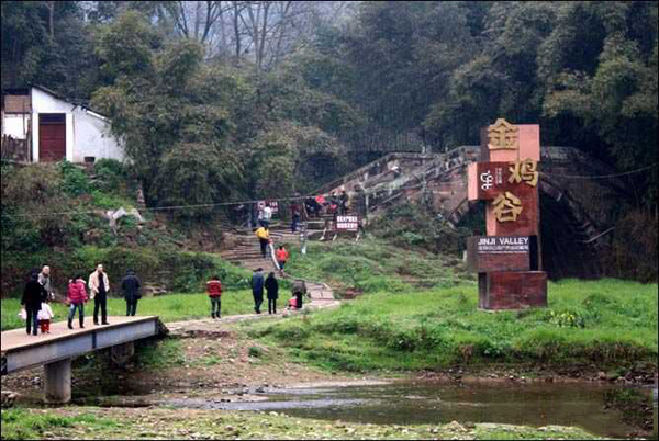 农村人创业好项目2020,农村年轻人发现致富商机