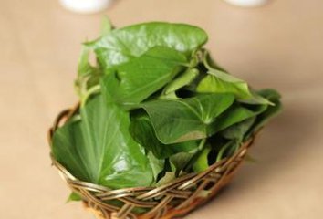 青汁怎么喝才能达到减肥效果 (青汁怎么喝才能达到减肥的效果)