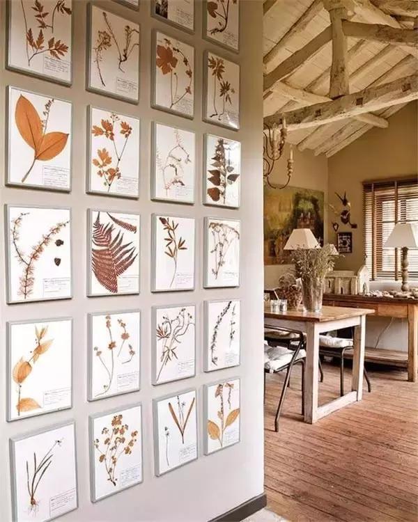 绿植盆栽都扔了,家里再穷也要丢掉的绿植