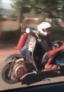 花式骂街gif,各种骂街动作视频