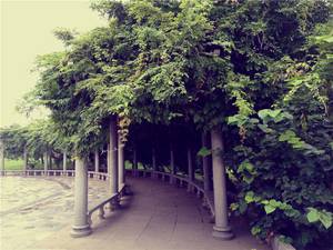 是否能够畅快用两天?360手机N4S全面评测!