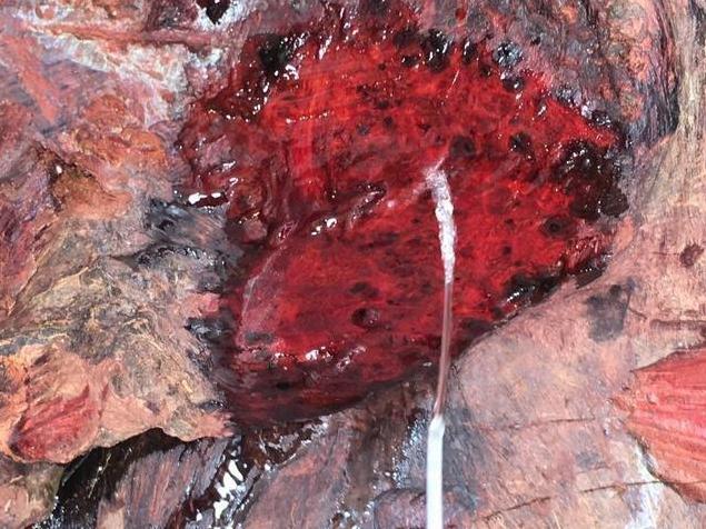 住豪宅不开心,住豪宅又不开心