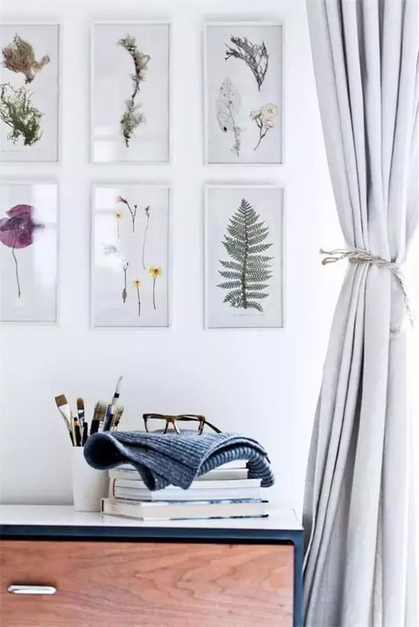 绿植盆栽都扔了,家里再穷也要丢掉的绿植