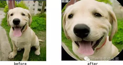 鱼眼镜头拍摄技巧,摄影镜头各种焦距