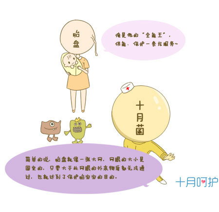 胎盘吃了对身体好是迷信吗,胎盘真的有奇效吗