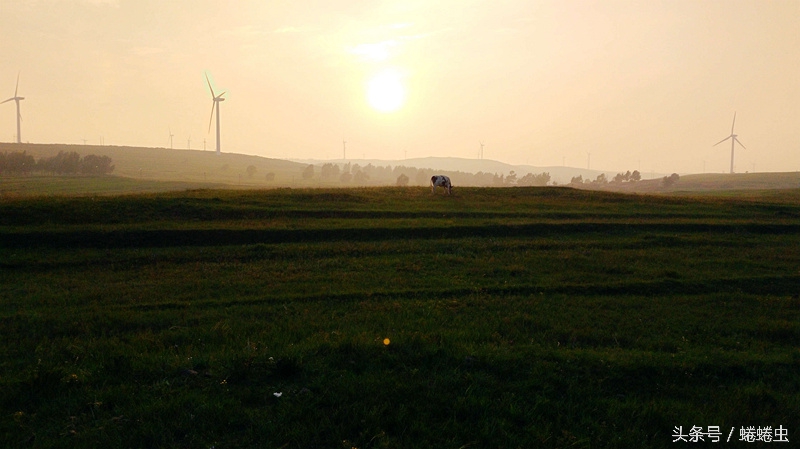 荣耀畅玩5a最大亮点,荣耀畅玩5a自带功能