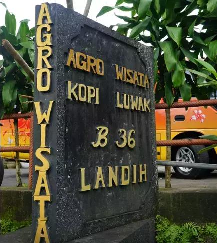 268元可以在巴厘岛landih买多少真正的猫屎咖啡豆?