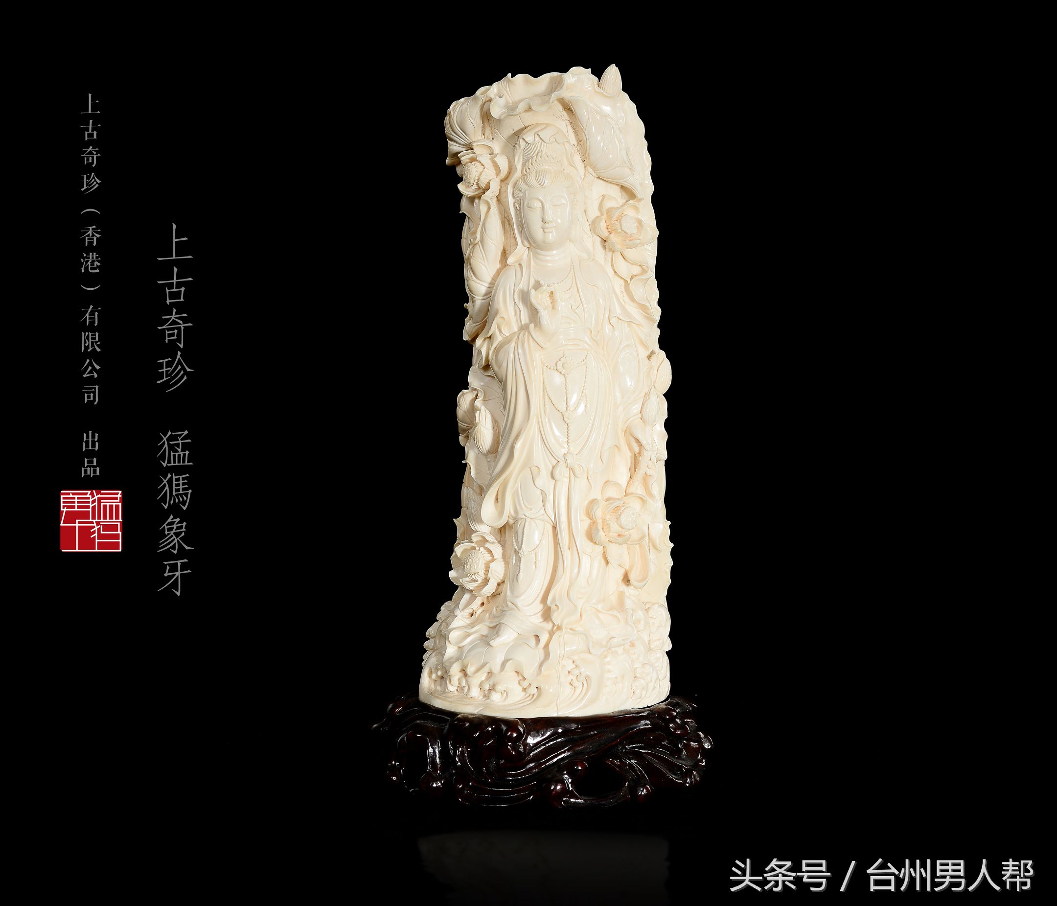 冰封数万年的猛犸象,藏传老猛犸象牙