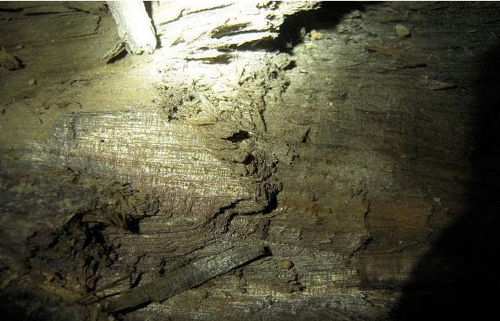 金丝楠阴沉木的形成,华豫之门金丝楠阴沉木家具