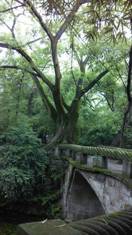 重庆鹅岭公园的介绍,重庆鹅岭公园有什么好玩的