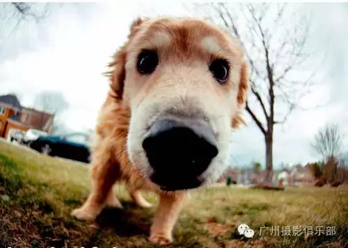 鱼眼镜头拍摄技巧,摄影镜头各种焦距