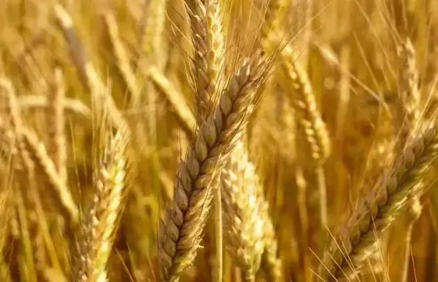 浙江衢州十大必吃餐馆,衢州好吃的店排行榜附近