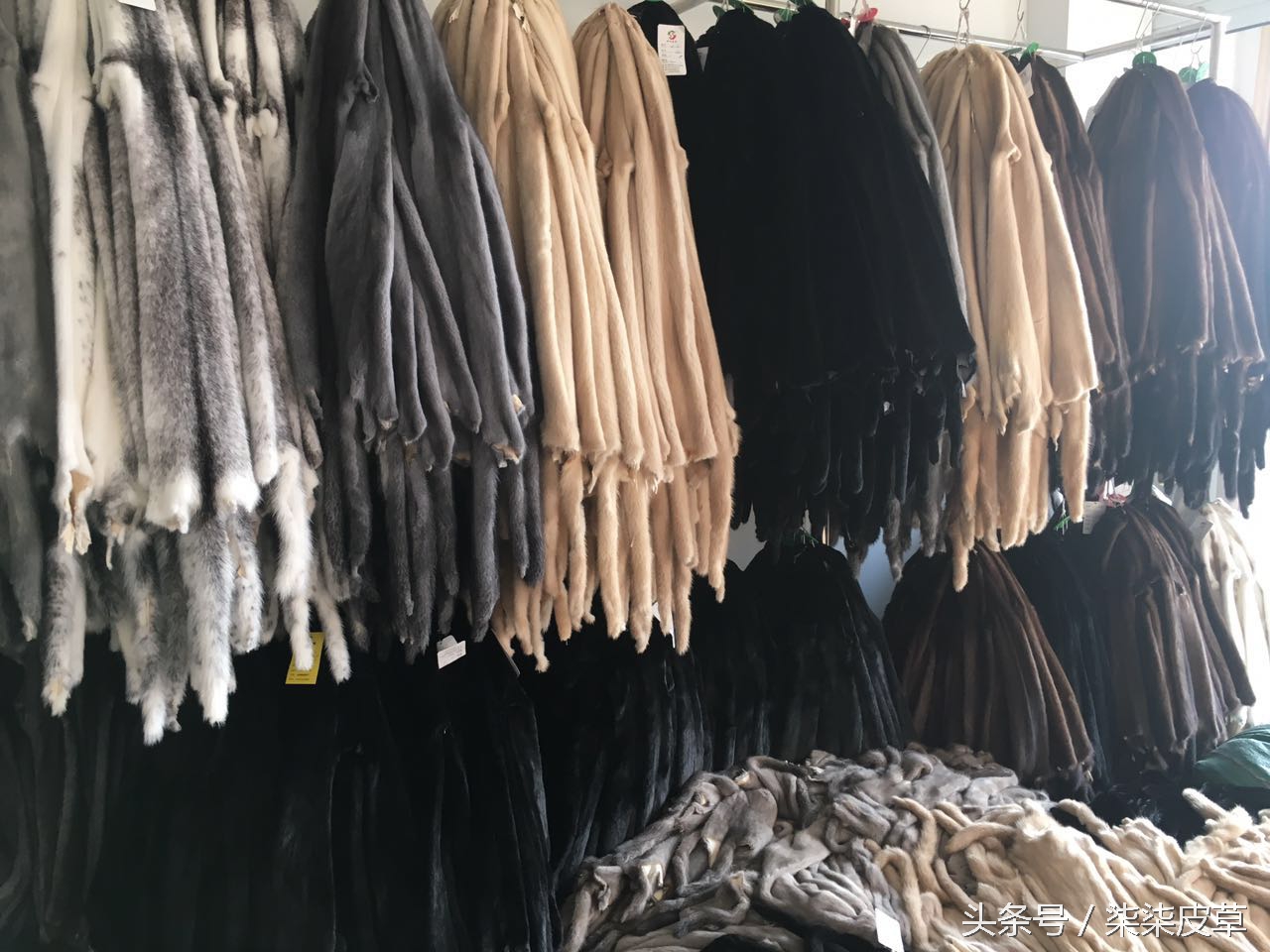 皮草怎么鉴别好坏,皮草的好坏如何鉴别
