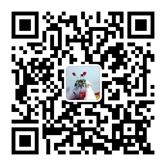 玫瑰花花语11朵代表什么,玫瑰花花语功效