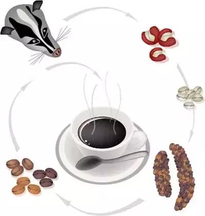 268元可以在巴厘岛landih买多少真正的猫屎咖啡豆?