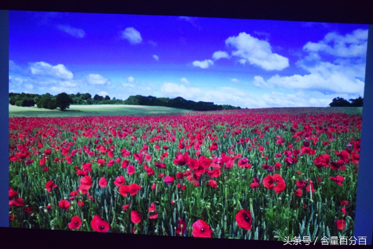 真不是钱包，神画小媚AR投影电视到底如何呢