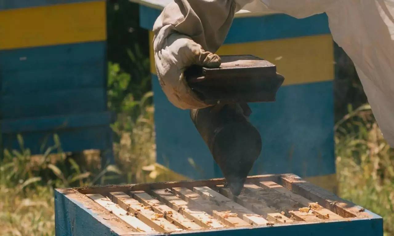 老中医蜂蜜系列,老中医生姜蜂蜜