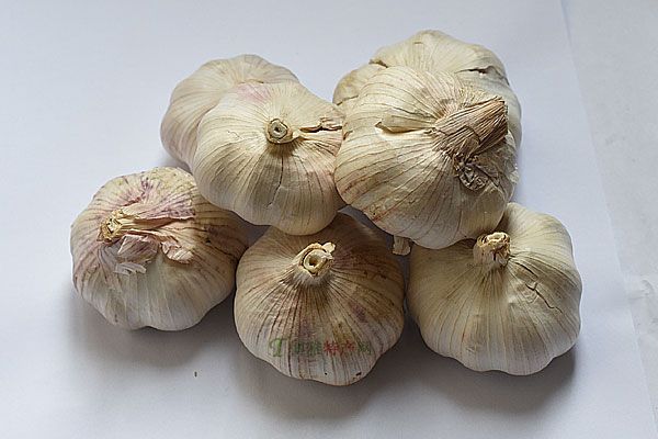 安丘十大特产，能说上8个以上的，你是真正安丘人