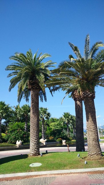 带孩子三亚游玩心情,带娃去三亚心情