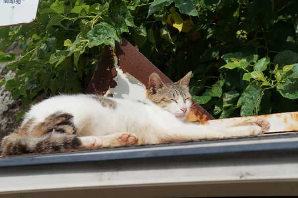 在台湾流浪14天~火星人的环岛路线！