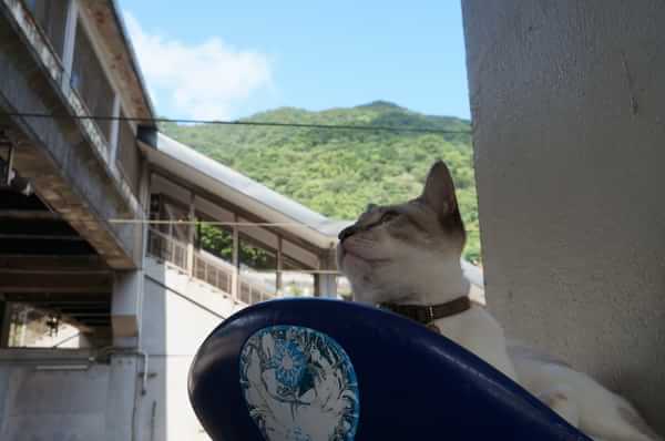 在台湾流浪14天~火星人的环岛路线！