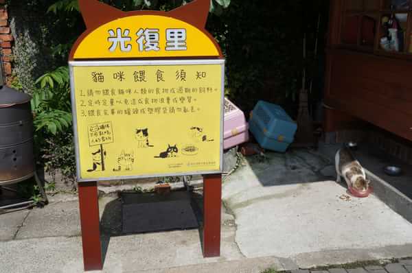 在台湾流浪14天~火星人的环岛路线！