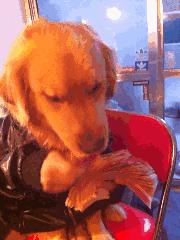 是不是该补点安硕信息的股票了？