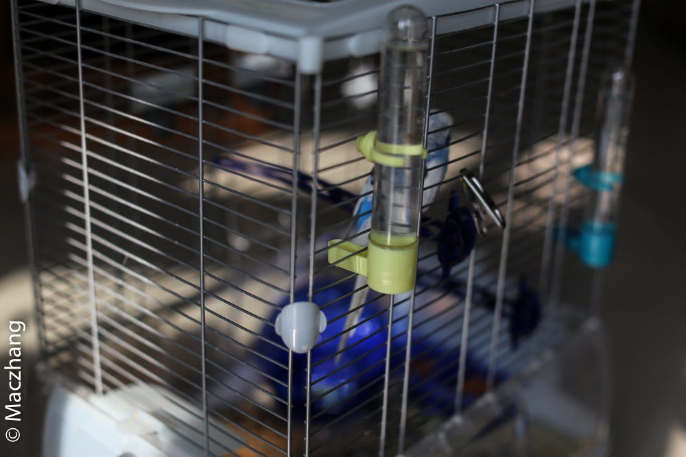 哈根笼子设计,鹦鹉笼设计图