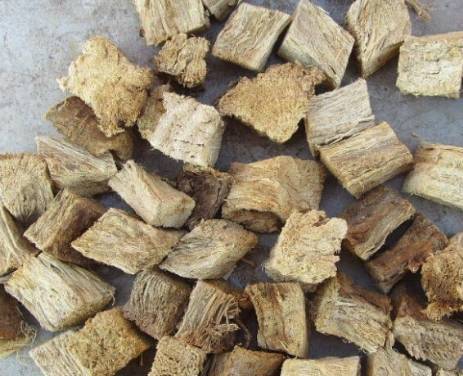 中药知识必学百合,中药知识必学僵蚕