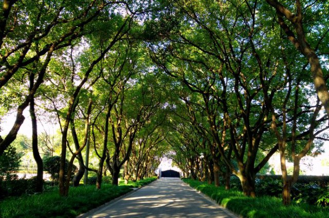 上海西郊宾馆可以参观吗,上海西郊宾馆游玩心得