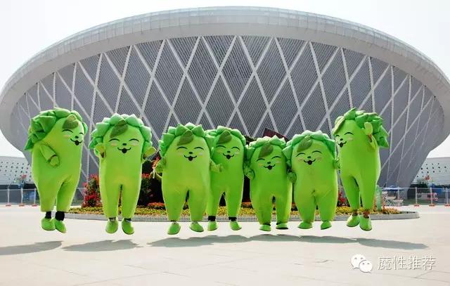 最丑争霸赛,最丑动物比赛