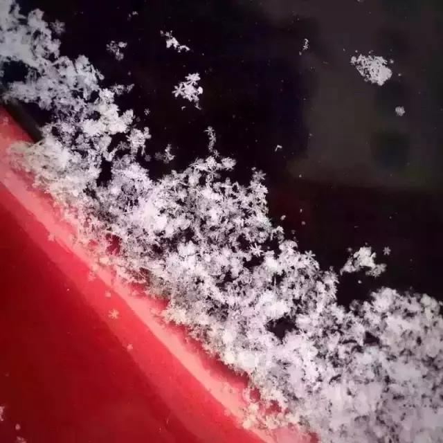 东莞第一场雪哪一年,东莞哪一年下过雪