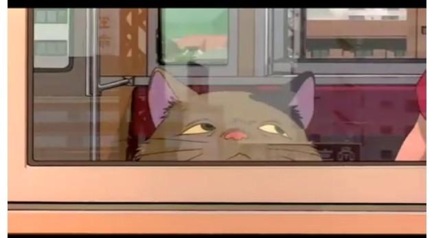 动漫卡通猫的名字,可爱动漫猫图片