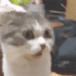 老坛酸菜用脚踩是什么工序,用我的脚踩过的老坛酸菜你会吃吗