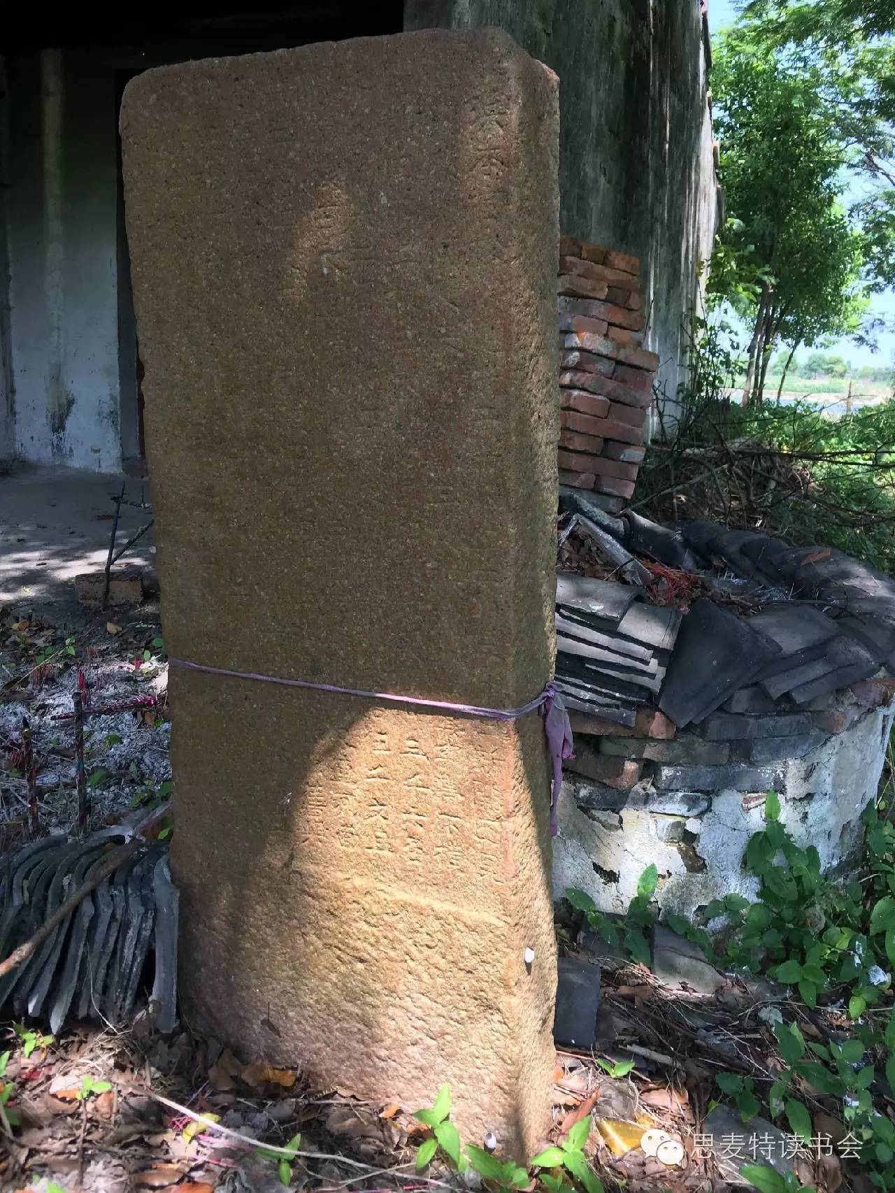 书友佳作｜隐逸在吴江世外桃源的老桥