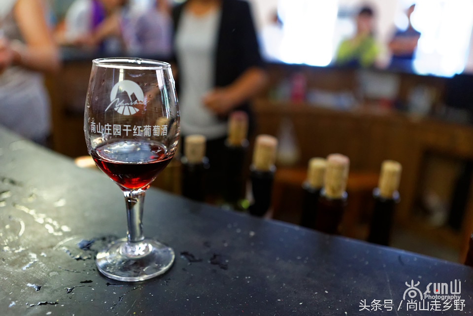 走进红酒庄园,走进葡萄庄园