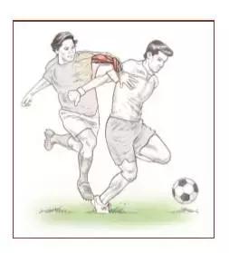 足球运动应该注重什么力量,足球上肢力量训练