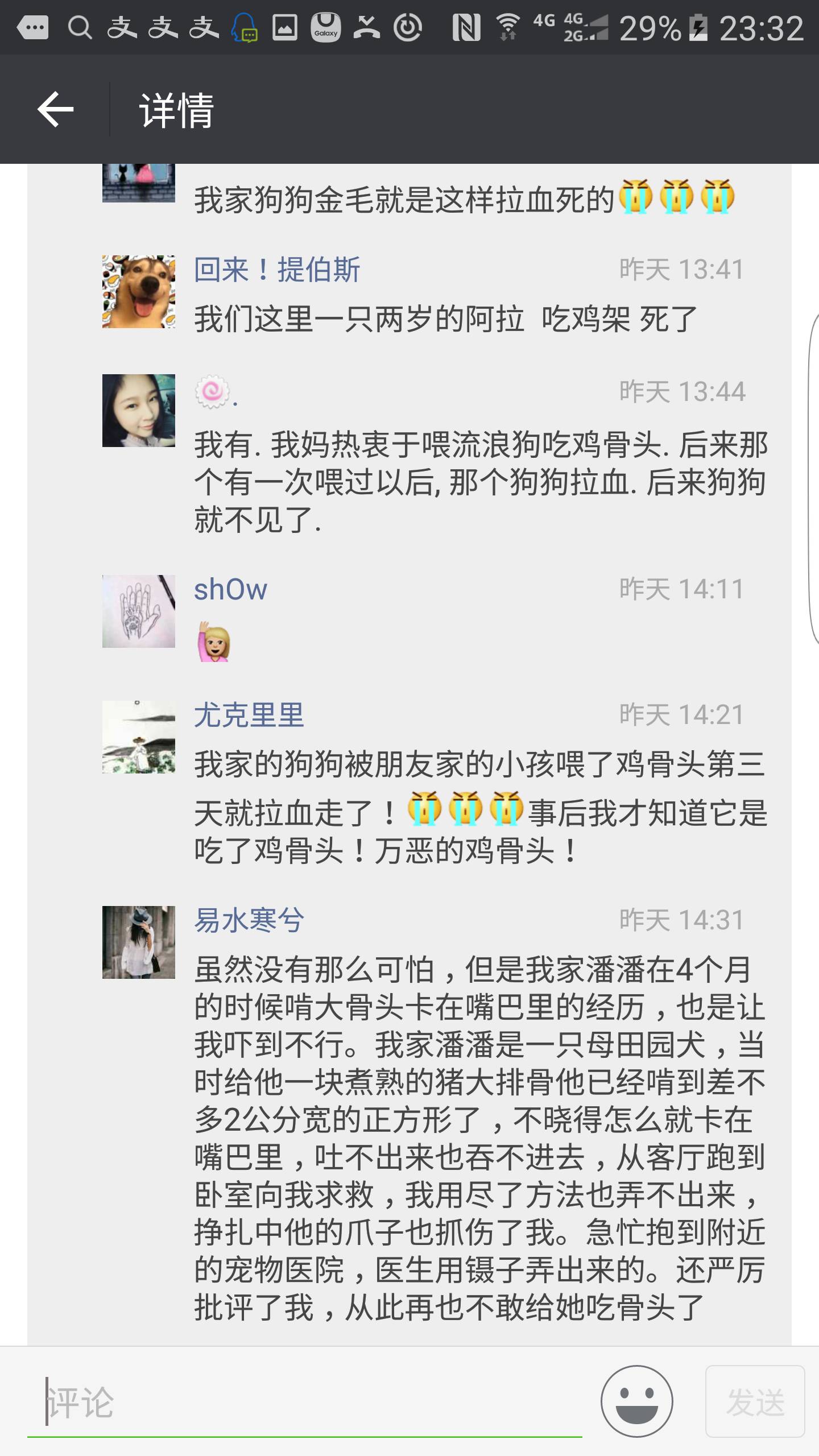 狗狗吃了骨头拉血是怎么回事,狗狗吃骨头拉血死亡