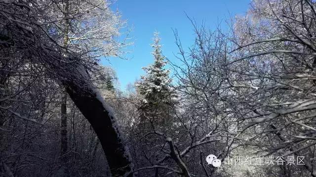 灵石红崖沟图片,灵石后悔沟景区