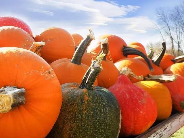 女人吃啥美容养颜皮肤好,女人吃什么保养皮肤