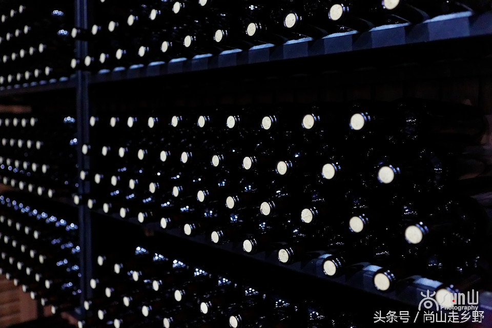 走进红酒庄园,走进葡萄庄园