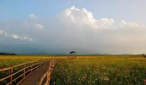 保定周边免费看红叶最佳旅游地点,保定周边一日游看红叶自驾游