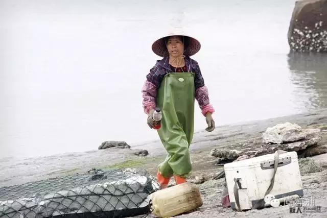 一些外地人眼中的福建,漳州人眼中的漳浦