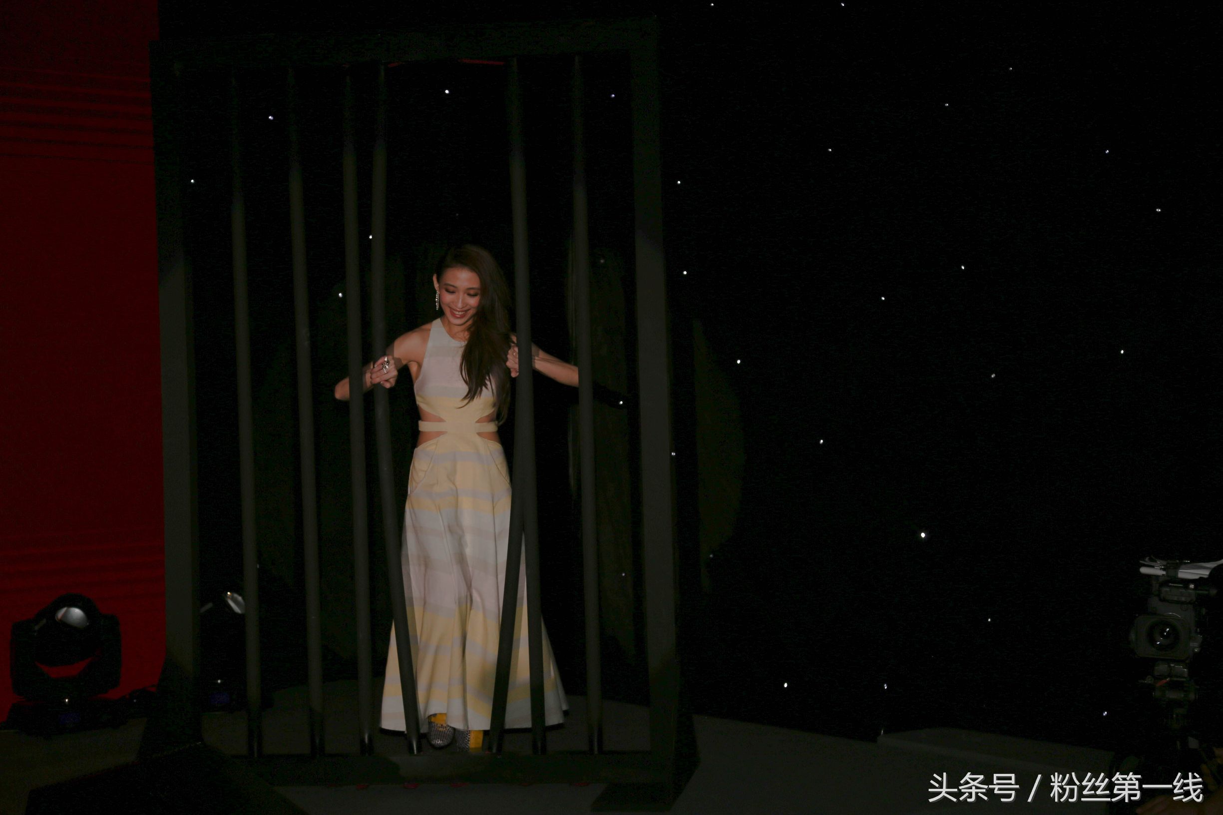 戴佩妮侵权风波解说,戴佩妮失恋无罪