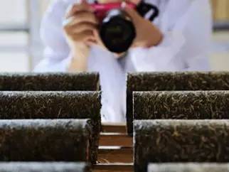 开学啦英语怎么学,学习茶学的好处