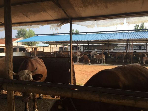 鼎鲜渔掌门养生火锅赵公口店,鼎鲜渔掌门养生火锅团购