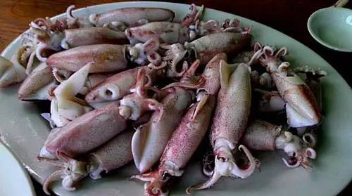 外伶仃岛岸边钓点,外伶仃岛钓鱿鱼钓点